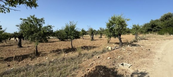 1-Zimmer Grundstück in Avola, Italy, Nr. 81539 10