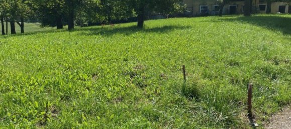 Terreno en Engerwitzdorf, Austria No. 130699 4