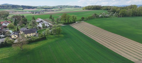 Terreno en Engerwitzdorf, Austria No. 130699 15