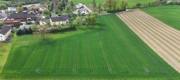 Terreno en Engerwitzdorf, Austria No. 130699 14