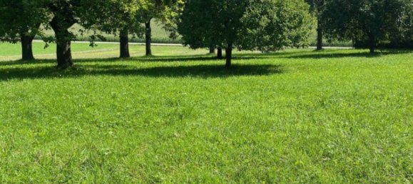 Terreno en Engerwitzdorf, Austria No. 130699 3