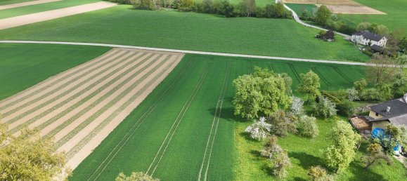 Terreno en Engerwitzdorf, Austria No. 130699 12