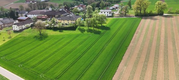 Terreno en Engerwitzdorf, Austria No. 130699 13
