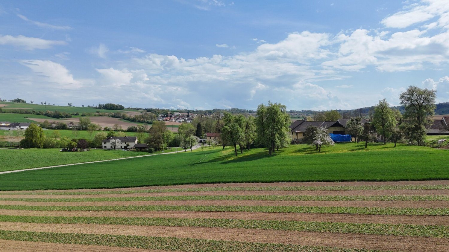 Terreno en Engerwitzdorf, Austria No. 130699
