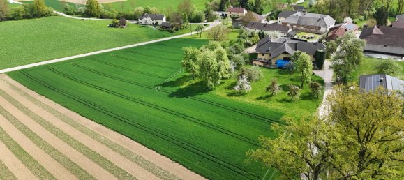 Terreno en Engerwitzdorf, Austria No. 130699 9