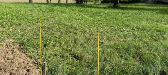 Terreno en Engerwitzdorf, Austria No. 130699 6