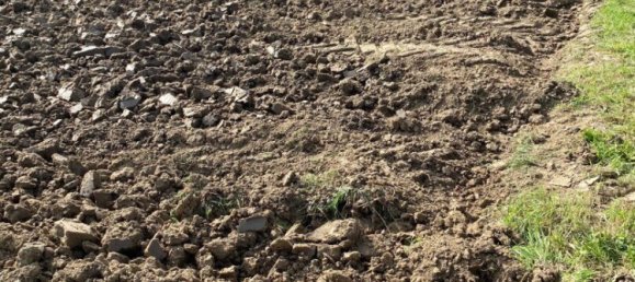 Terreno en Engerwitzdorf, Austria No. 130699 8