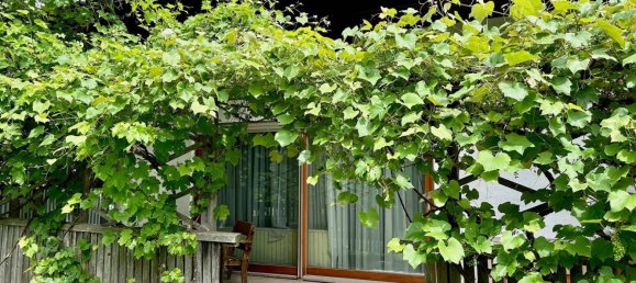 8 rooms Bungalow in Lamprechtshausen, Austria No. 126582 7