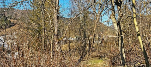  Land in Turnitz, Austria No. 44324 3