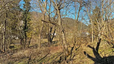  Land in Turnitz, Austria No. 44324