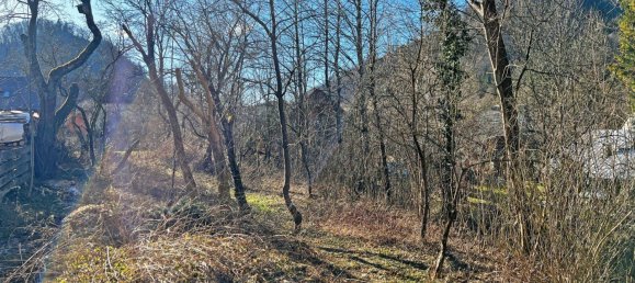  Land in Turnitz, Austria No. 44324 2