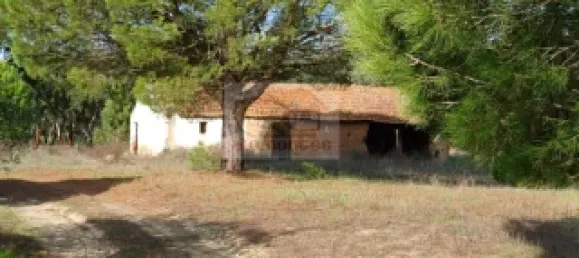 3 bedrooms Castles in Grandola, Portugal No. 112056 4