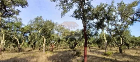 3 bedrooms Castles in Grandola, Portugal No. 112056 2