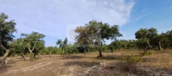 3 bedrooms Castles in Grandola, Portugal No. 112056 3