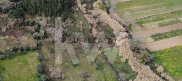 Terreno em Condeixa a Nova, Portugal N.º 157593 8