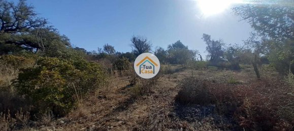 7880m² Land in Sao Bras de Alportel, Portugal No. 72175 9