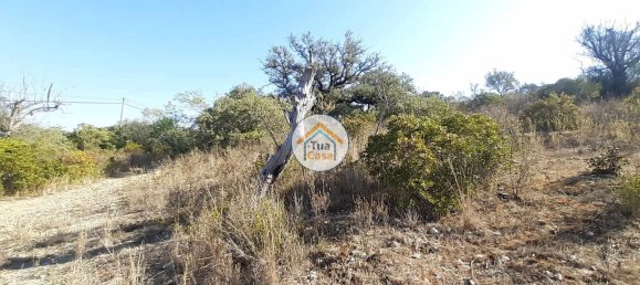 7880m² Land in Sao Bras de Alportel, Portugal No. 72175 3