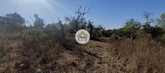 7880m² Land in Sao Bras de Alportel, Portugal No. 72175 5