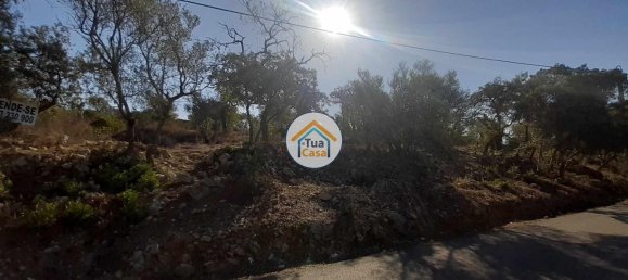 7880m² Land in Sao Bras de Alportel, Portugal No. 72175 8