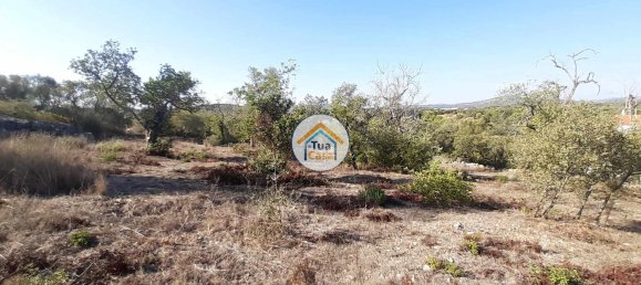 7880m² Land in Sao Bras de Alportel, Portugal No. 72175 14