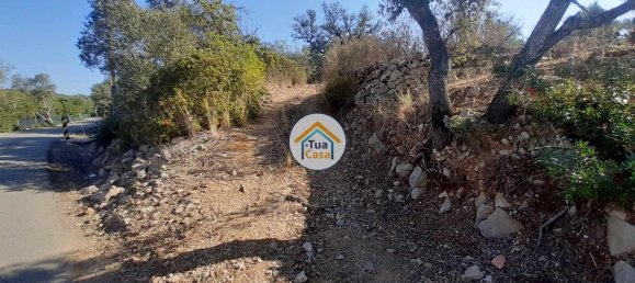 7880m² Land in Sao Bras de Alportel, Portugal No. 72175 6