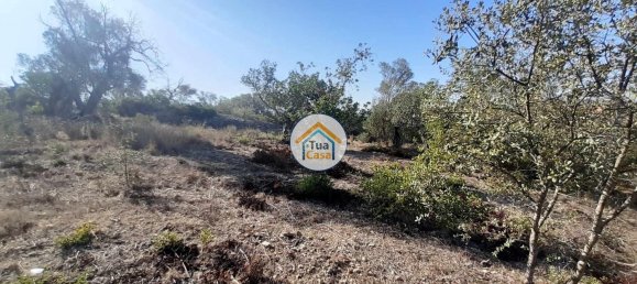 7880m² Land in Sao Bras de Alportel, Portugal No. 72175 12