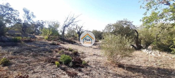 7880m² Land in Sao Bras de Alportel, Portugal No. 72175 15