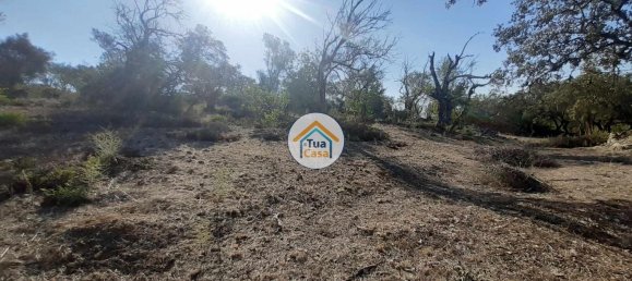 7880m² Land in Sao Bras de Alportel, Portugal No. 72175 2