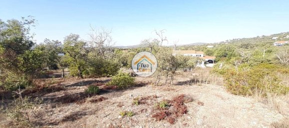 7880m² Land in Sao Bras de Alportel, Portugal No. 72175 4