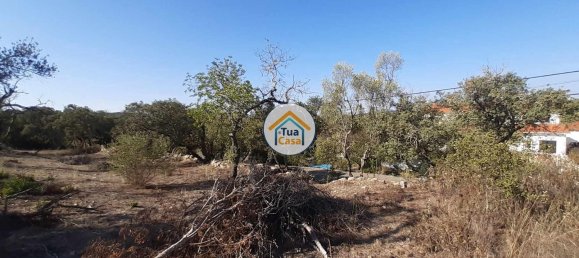 7880m² Land in Sao Bras de Alportel, Portugal No. 72175 7