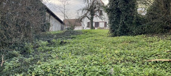 3 bedrooms Farm in Rhineland-Palatinate, Germany No. 126191 3