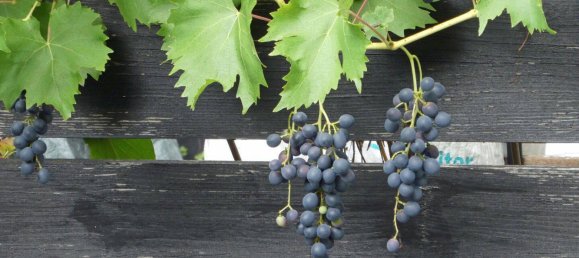 Квартира с 2 спальнями в Дармштадт, Германия № 282770 19