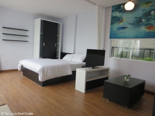 Studio in Cau Giay, Vietnam No. 4544