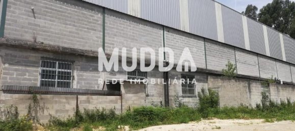 Armazém em Sever do Vouga, Portugal 600 m² N.º 60885 4