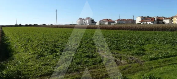 Terreno em Vagos, Portugal N.º 89444 3
