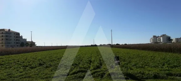 Terreno em Vagos, Portugal N.º 89444 4