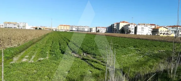 Terreno em Vagos, Portugal N.º 89444 5