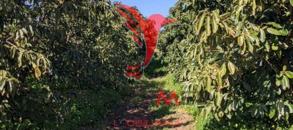 24080m² Land in Vila Nova de Cacela, Portugal No. 67972 15