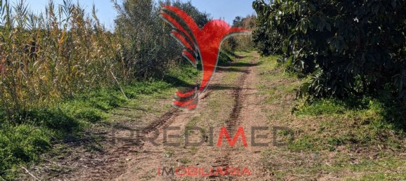 24080m² Land in Vila Nova de Cacela, Portugal No. 67972 16
