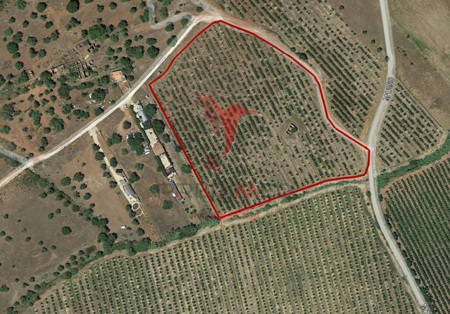 24080m² Land in Vila Nova de Cacela, Portugal No. 67972