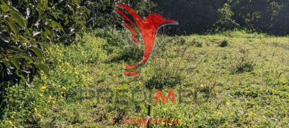 24080m² Land in Vila Nova de Cacela, Portugal No. 67972 10