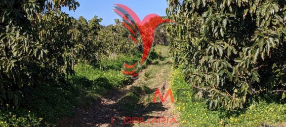 24080m² Land in Vila Nova de Cacela, Portugal No. 67972 18