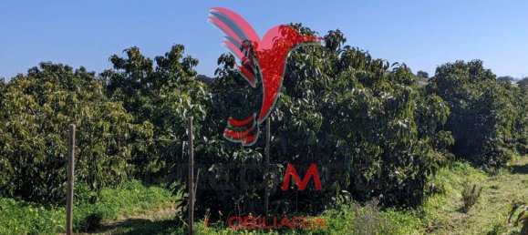 24080m² Land in Vila Nova de Cacela, Portugal No. 67972 5