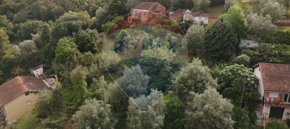 4 chambres Maison à Coimbra, Portugal No. 177868 5