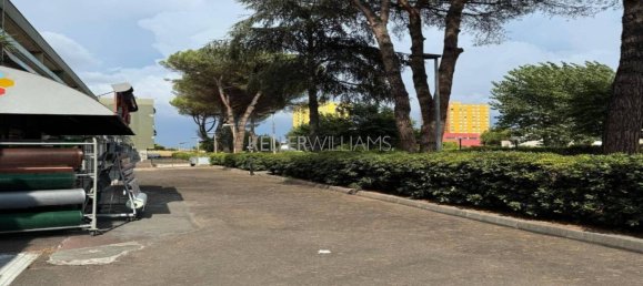 1 room Commercial property in Rome, Italy No. 67974 6