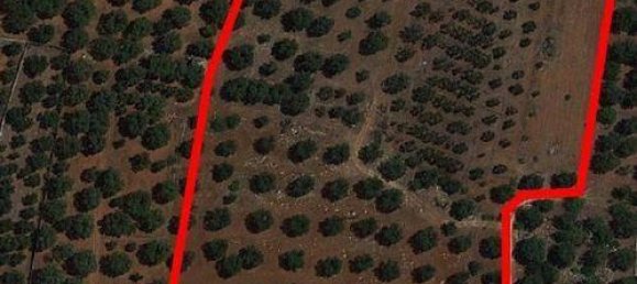 30000m² Land in Ugento, Italy No. 144094 2