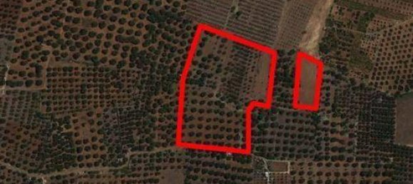 30000m² Land in Ugento, Italy No. 144094 4