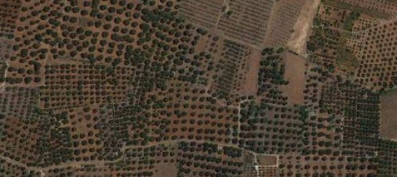 30000m² Land in Ugento, Italy No. 144094 3