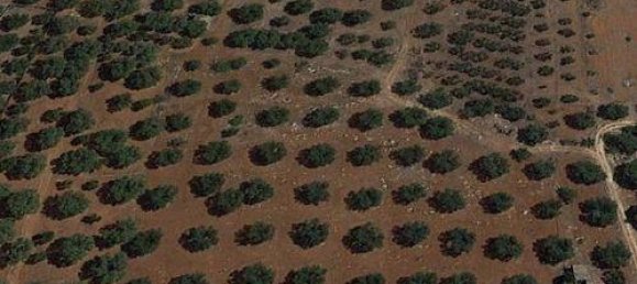 30000m² Land in Ugento, Italy No. 144094 5