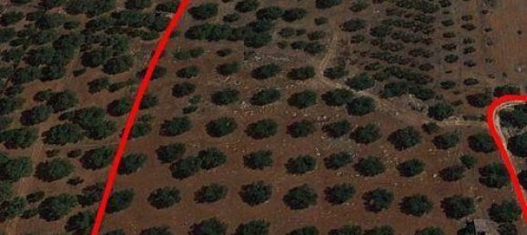 30000m² Land in Ugento, Italy No. 144094 6